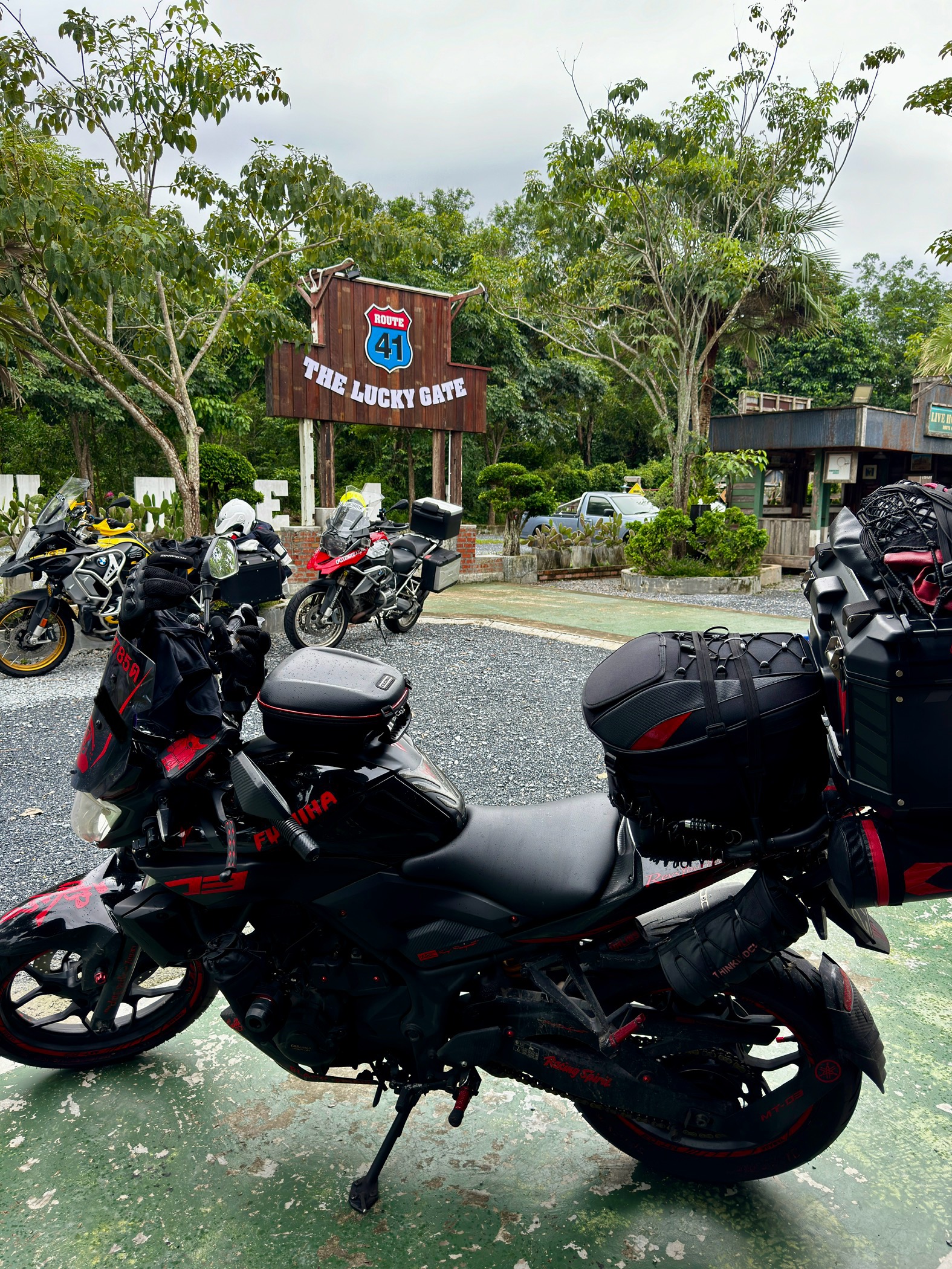 Route 41